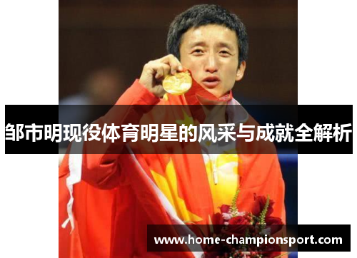邹市明现役体育明星的风采与成就全解析