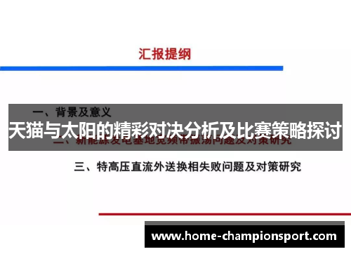 天猫与太阳的精彩对决分析及比赛策略探讨